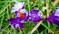 P3060008