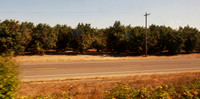 P9040138
