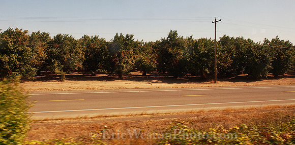 P9040138