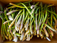 P5040019