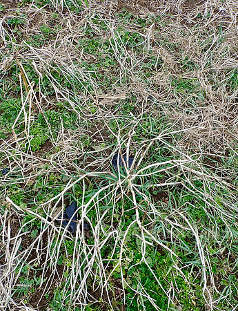 P3160008