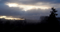 P3130008