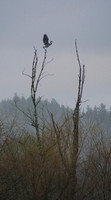 P3040001