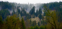 P3030003
