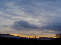 P3050012