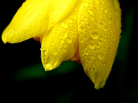 P3030019