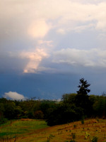 P9090026