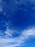P6050010