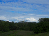 P6050008