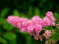 P7120040