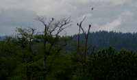P7040307