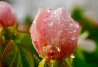 P5030017