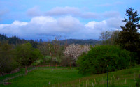 P5010002