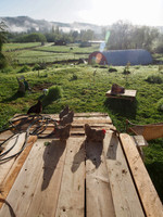 P5020013