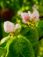 P5030027