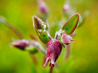 P5030013
