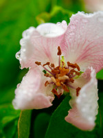 P5030020