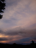 P9040005