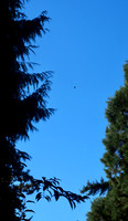 PA060022