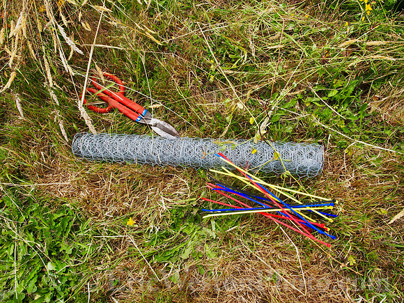 P7170015