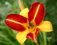 P7070002