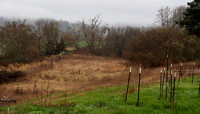 P2240063