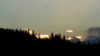 PA060005