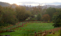 PA060010
