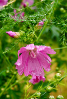 P8080018