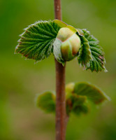 P4050029