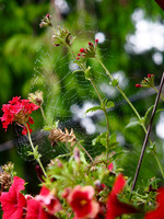 P8180008