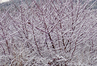 P2040008