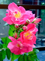 P8030025