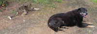 P6250004