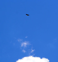 P6190011