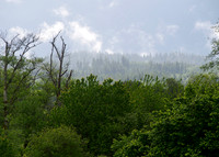 P6070008