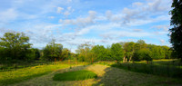 P6040022