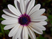 P8110179
