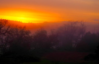 PA060026