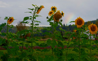 PA020005