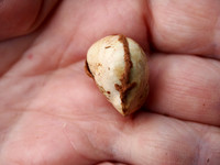 P9050063