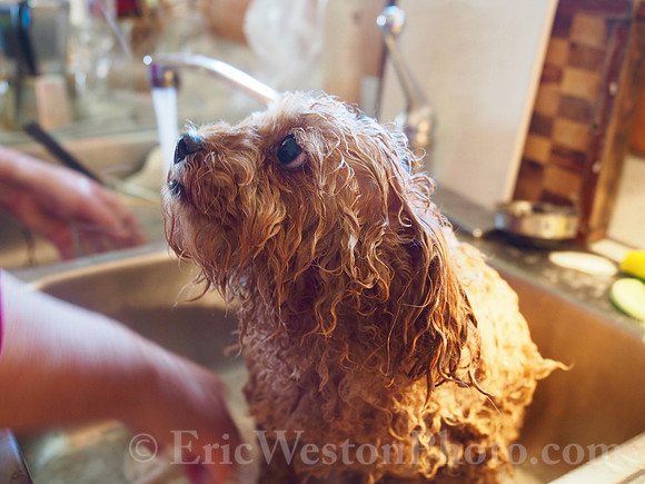 PB220056