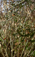 PC010025