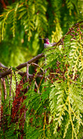 PC070023