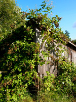 P8130037