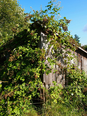 P8130037