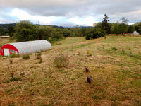 P8100025