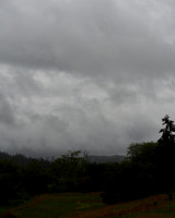 P8110018