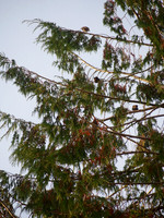 PA140030
