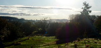 PA090004